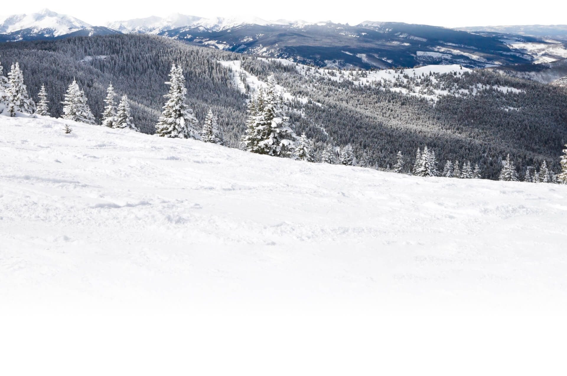 A snowy mountain side in Vail CO