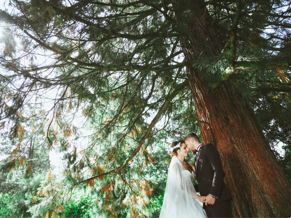 A bride and groom in Vail CO