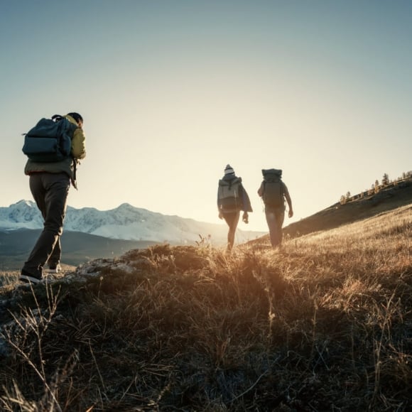 A group hiking through a trail in Vail CO