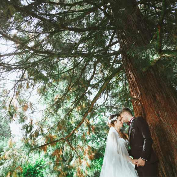 A bride and groom under a tree in Vail CO