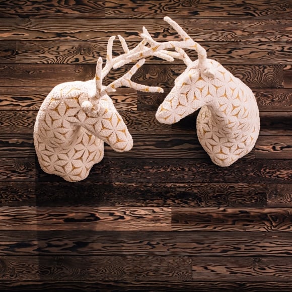 deer antlers on a wooden wall