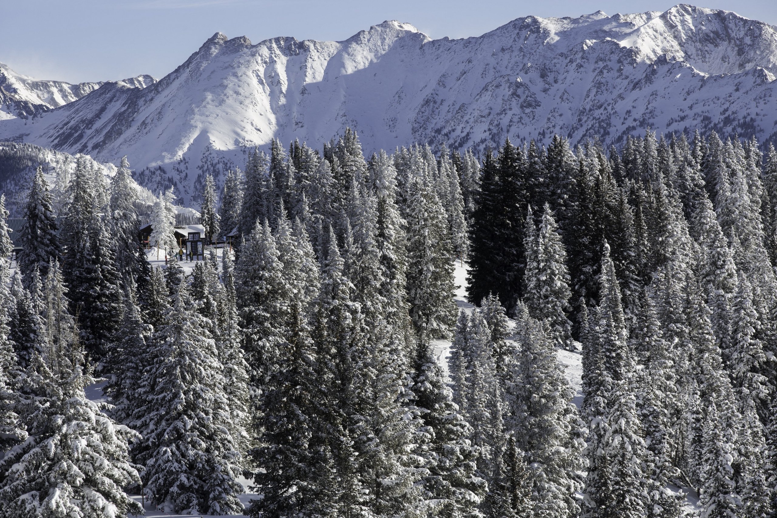 vail mountain peaks with snowy pine trees