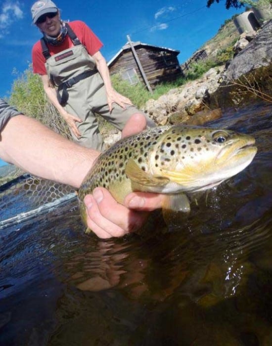 Catching Fish Adventure