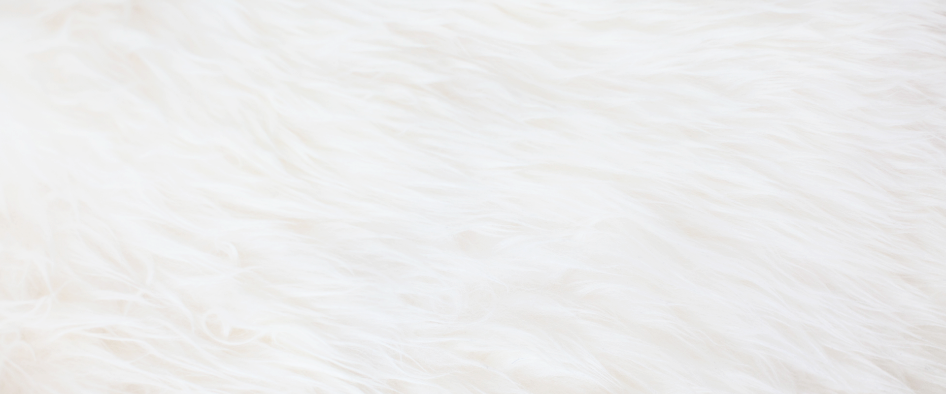 textured white fur background