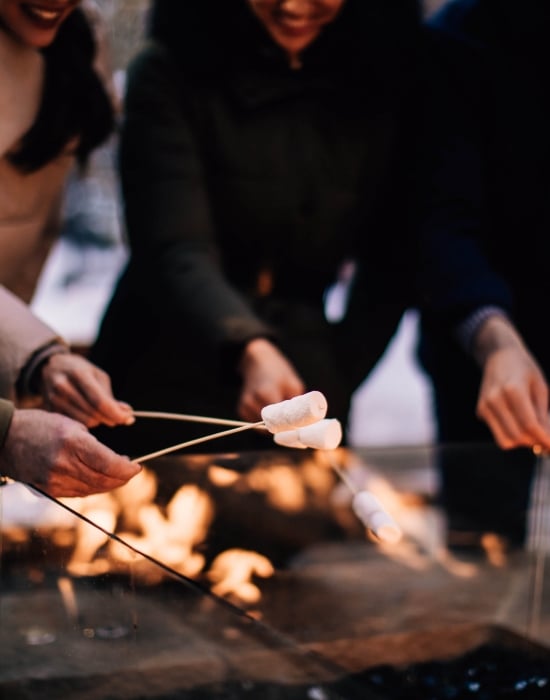 Roasted Marshmallows on Stick